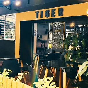 Tiger Auberge de jeunesse